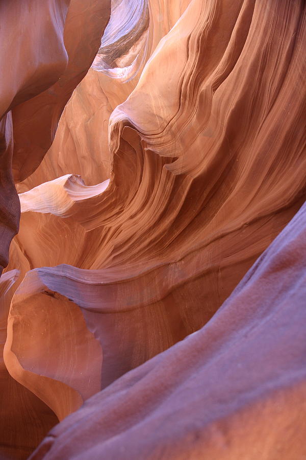 Sandstone Waves And Pink Shades Photograph by Christiane Schulze Art And Photography
