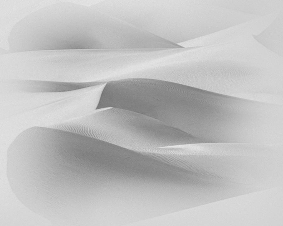 Sandstorm  Photograph by Gigi Ebert