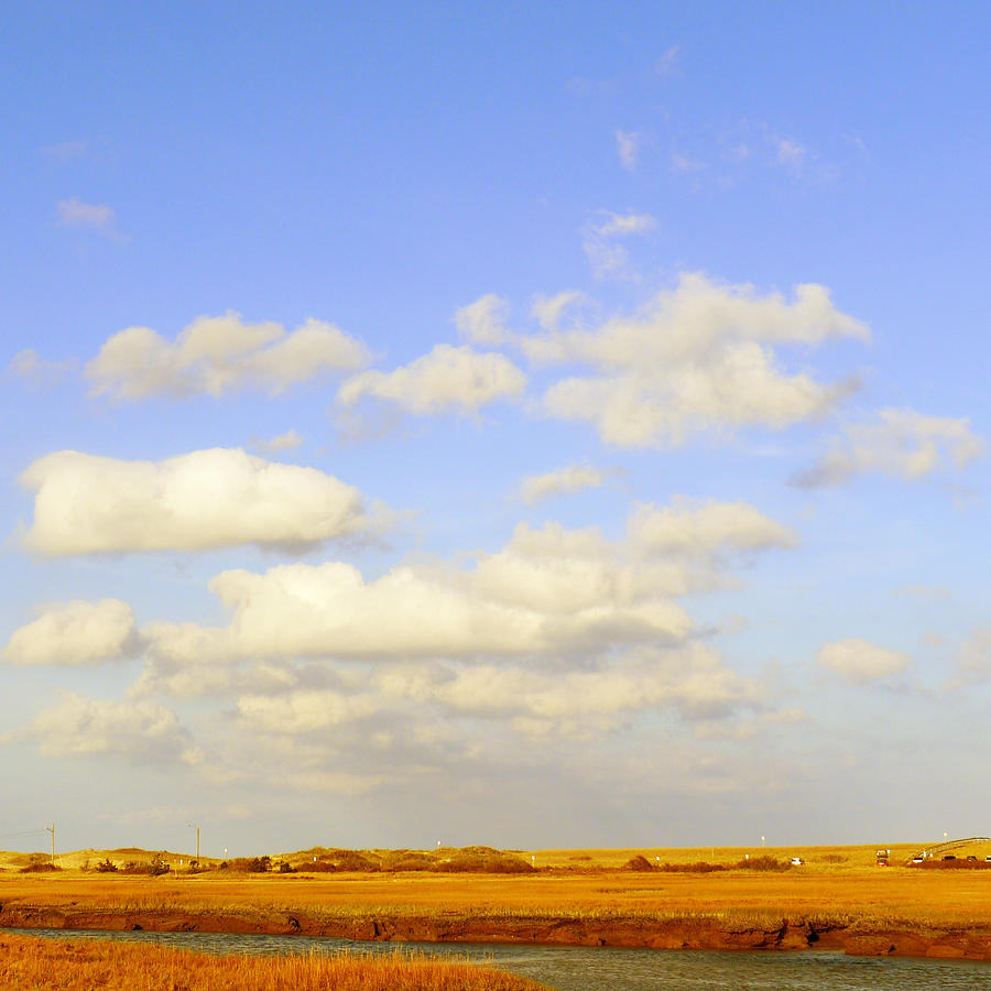 Sandwich Marsh and Sky Photograph by Frank Winters