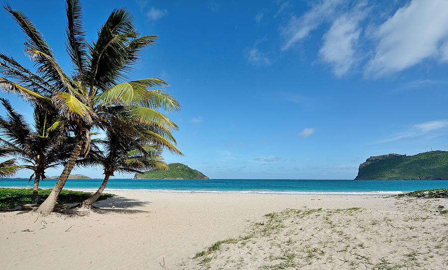 Sandy Beach and Maria Island - St. Lucia Photograph by Brendan Reals