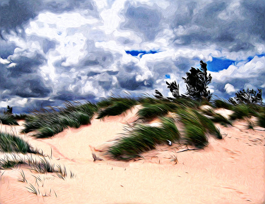 Sandy Beach Dune Grass Photograph by Phil Perkins