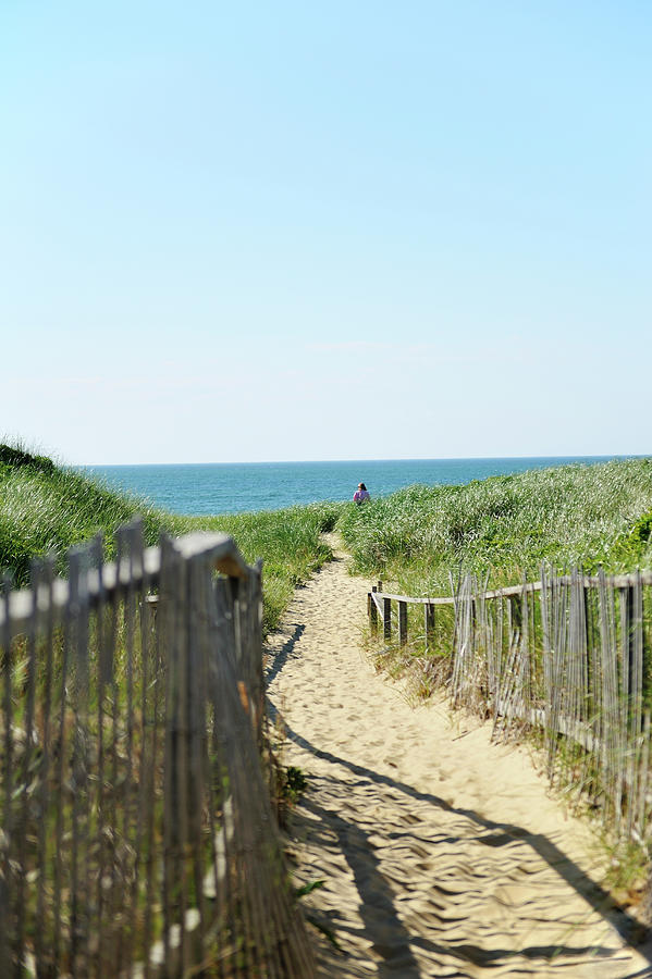 Sandy Beach Path Leading To The Ocean Photograph by Driendl Group ...