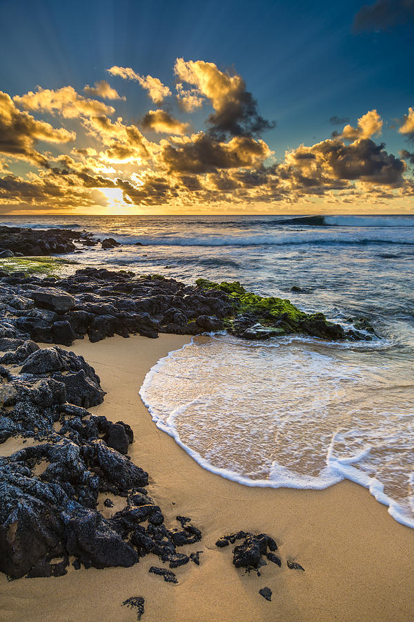 Sandy Beach Sunrise 10 Photograph by Leigh Anne Meeks