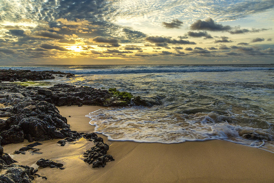 Sandy Beach Sunrise 8 Photograph by Leigh Anne Meeks