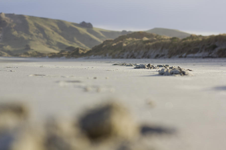 Landscape Photograph - Sandy Beach by Tony Bennett
