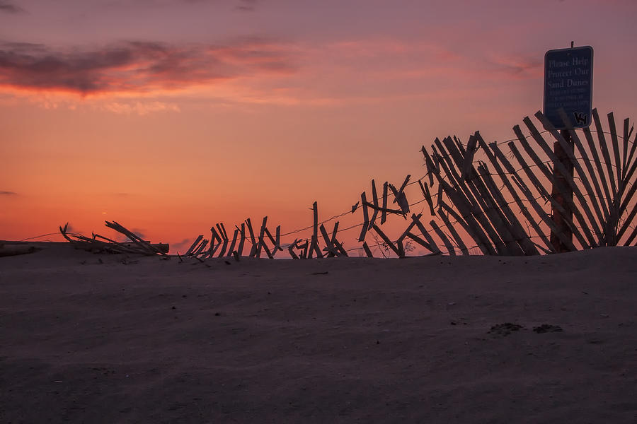 Sandy Dune Fence Photograph by Tom Singleton