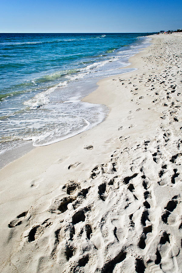 Sandy Footprints Photograph by George Taylor