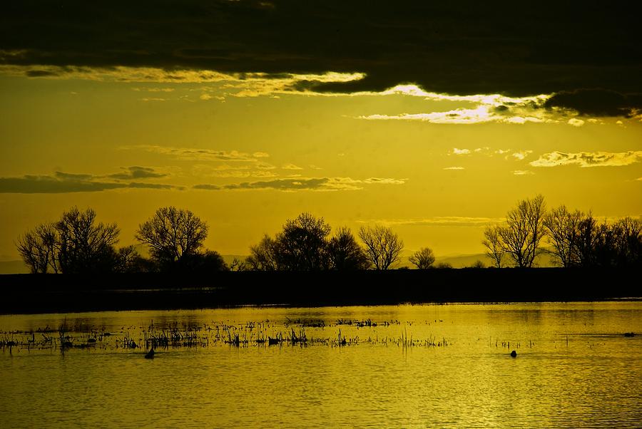 Sandy Mush Sunset Photograph by Eric Tressler
