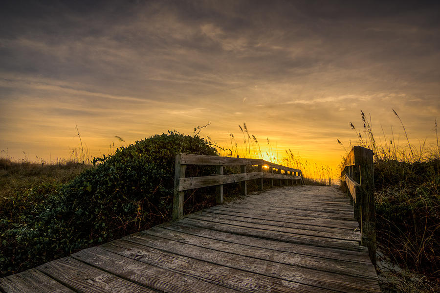Sandy Path Photograph by Matthew Trudeau - Pixels