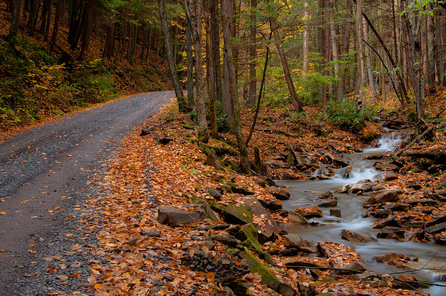 Sandy Run Photograph by Scott Hafer - Fine Art America