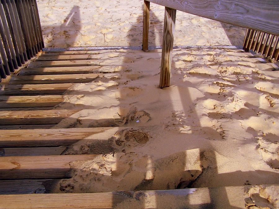 Sandy Steps at Whitefish Point Photograph by Kathleen Luther