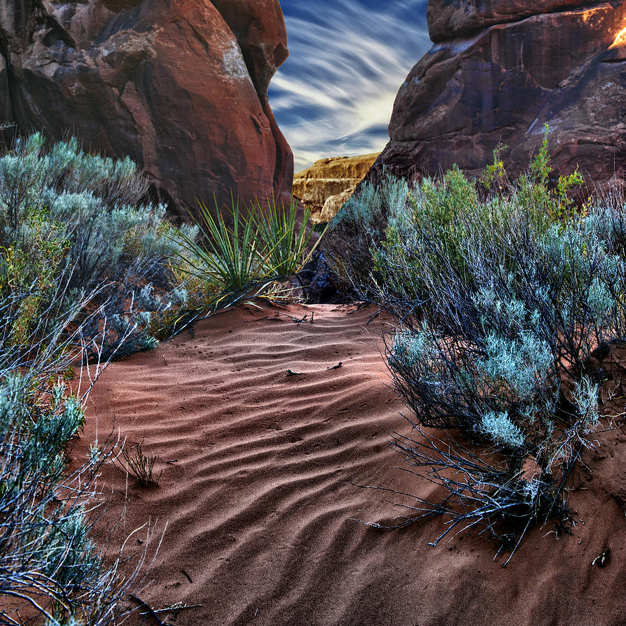 Sandy Trail Arches National Park Photograph by Gary Warnimont