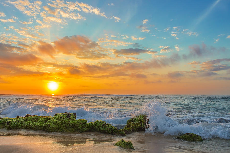 Sandy Beach Sunrise 3 Photograph by Leigh Anne Meeks