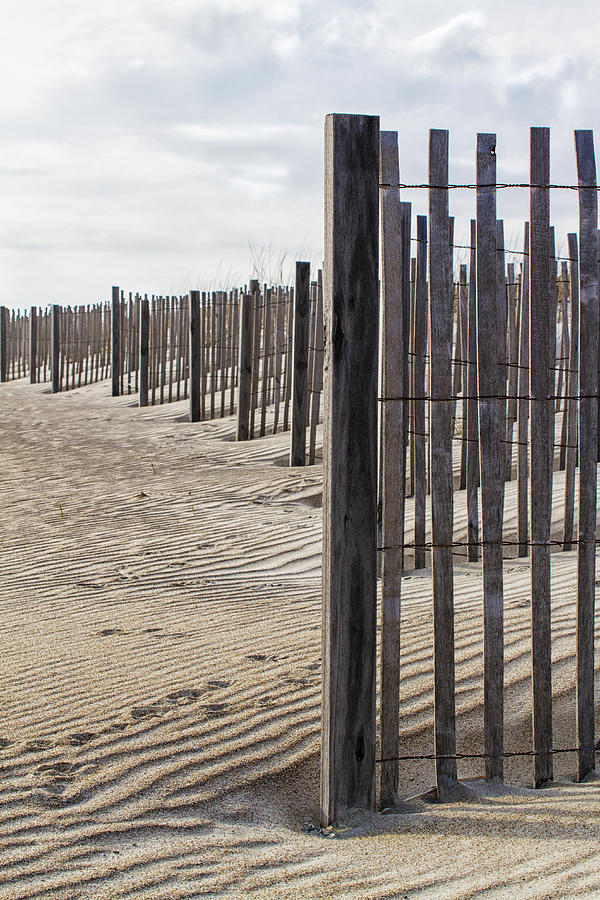 Sand Fence Photograph by Bob Decker