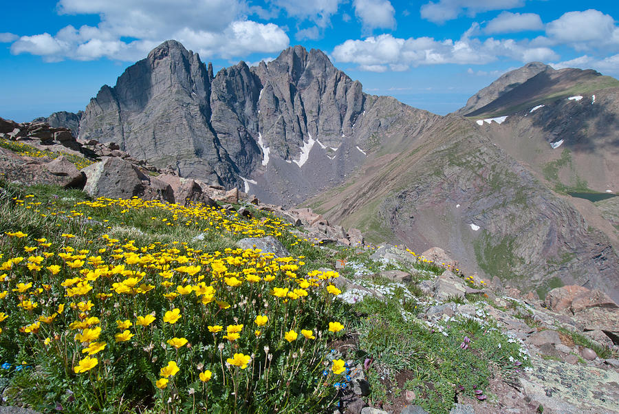 Sangre de Cristos Crestone Peak and Wildflowers Photograph by Cascade Colors