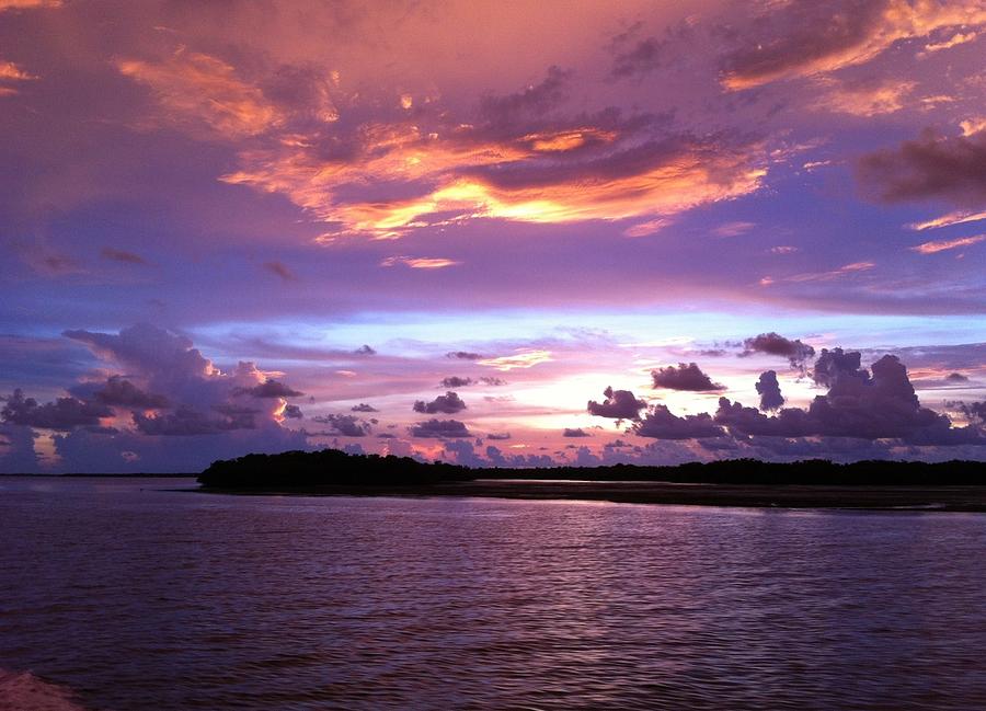 Sanibel Island Florida 3 Photograph by Judy Swerlick