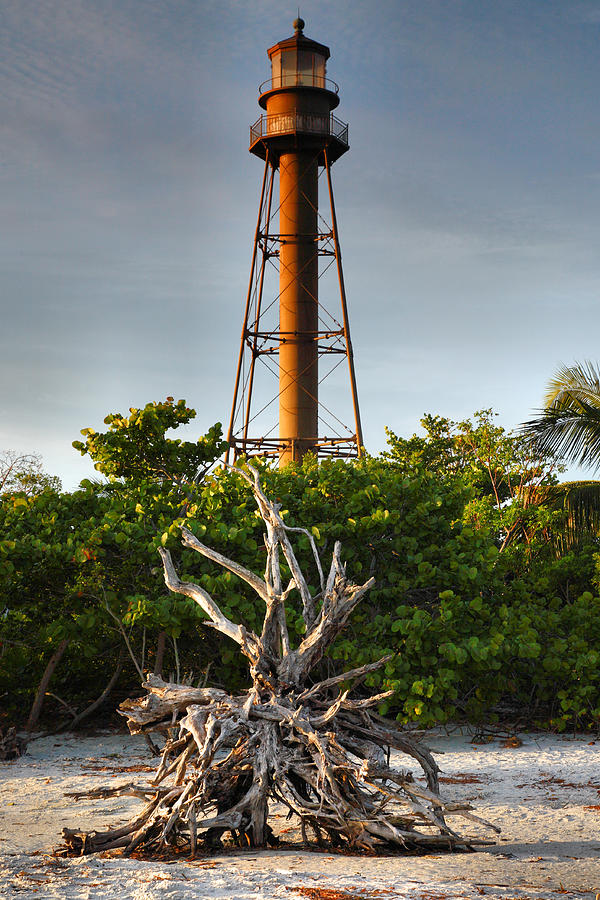 Sanibel Lighthouse IV Photograph by Steven Ainsworth