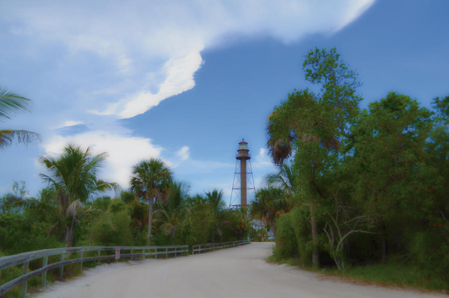 Sanibel Lighthouse Road Photograph by Timothy Lowry
