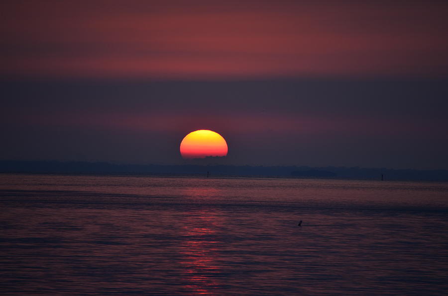 Sanibel Sunrise Photograph by James Petersen