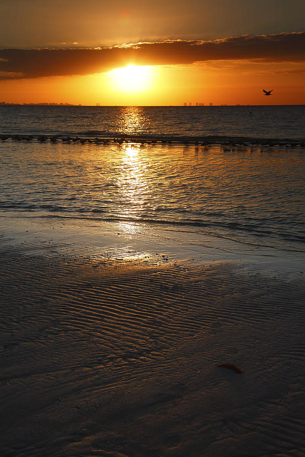 Sanibel Sunrise VI Photograph by Steven Ainsworth