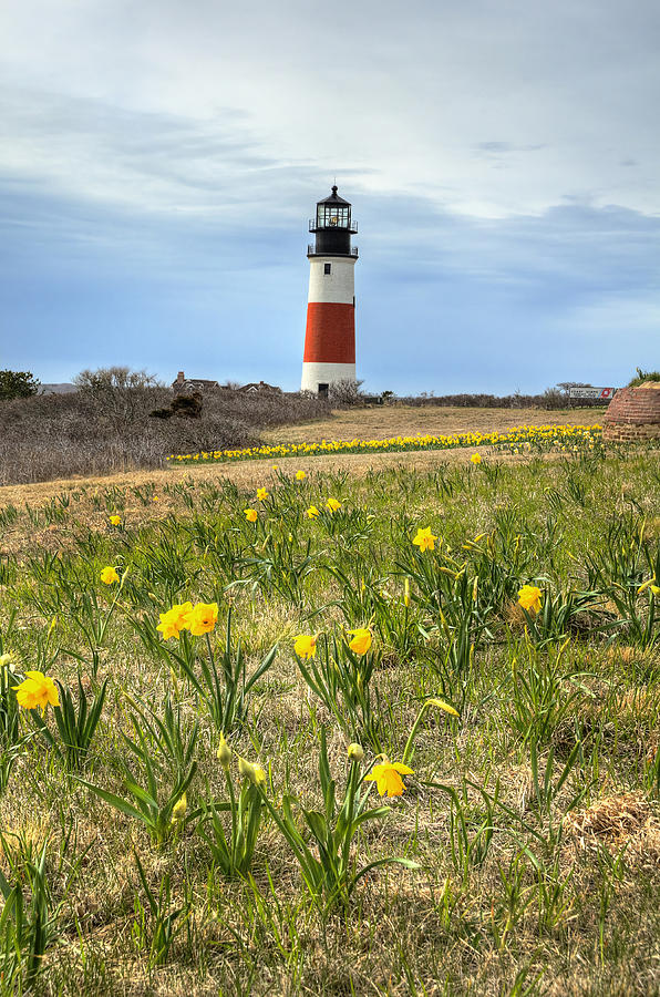 Sankaty Lighthouse Nantucket Photograph by Donna Doherty