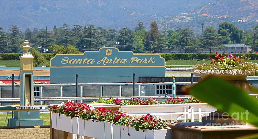 California Photograph - Santa Anita Race Track Arcadia Calif by Robert Birkenes