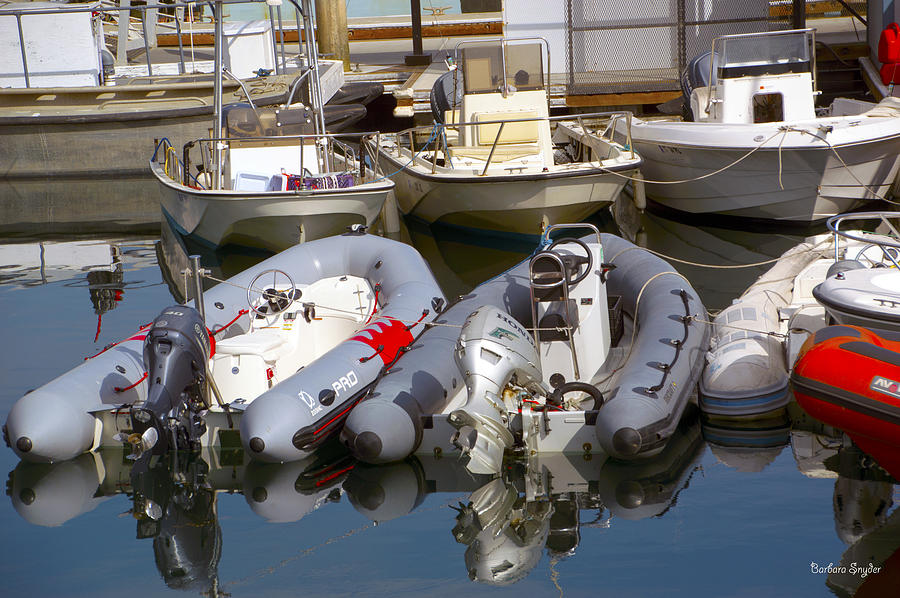Santa Barbara Boat Rentals Photograph by Barbara Snyder