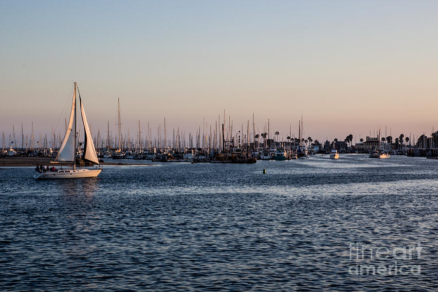 Santa Barbara Harbor Photograph by Suzanne Luft