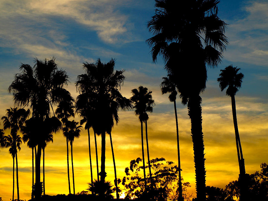 Sunset Photograph - Santa Barbara Sunset by Gia Marie Houck