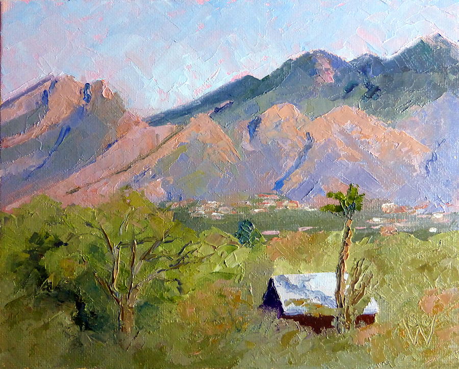Santa Catalinas Painting by Susan Woodward