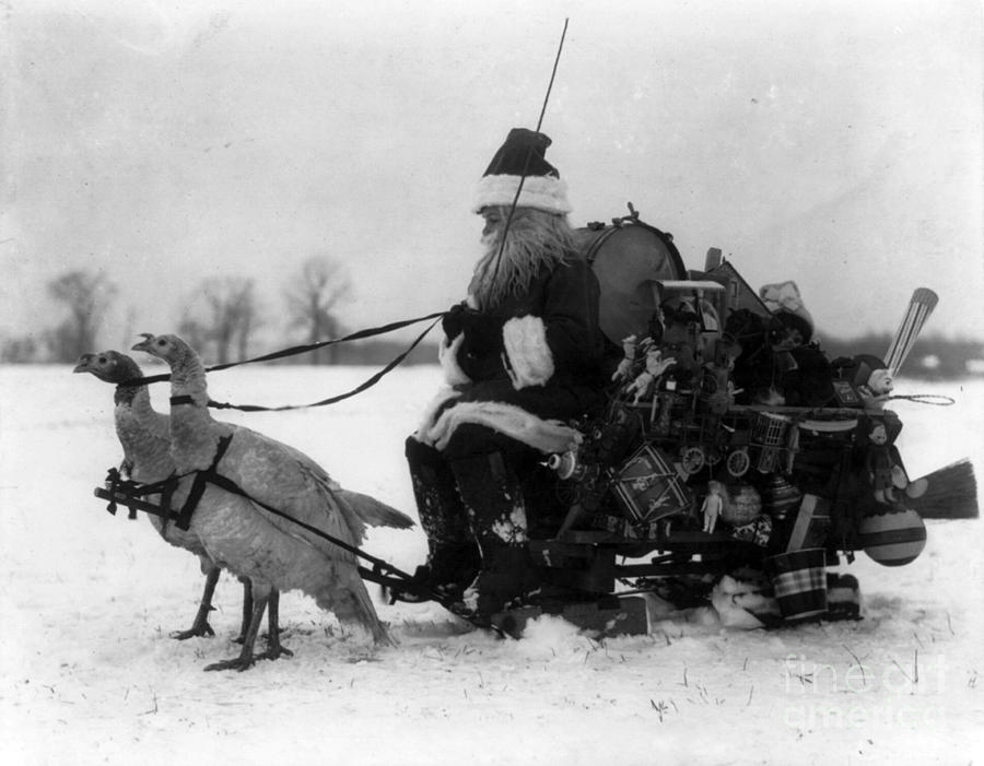 Christmas Photograph - Santa Claus And Sled Drawn By White by Photo Researchers