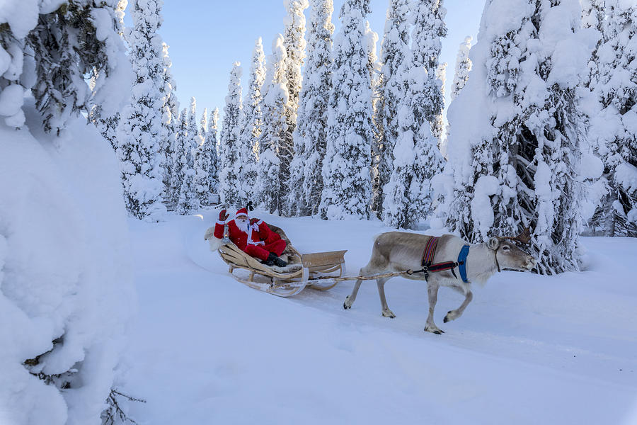 Santa Claus on reindeer sleigh in the snowy forest, Ruka (Kuusamo), Northern Ostrobothnia region, Lapland, Finland Photograph by Roberto Moiola / Sysaworld