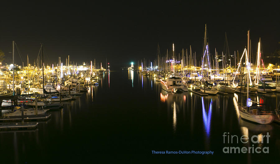 Santa Cruz Harbor @ Night Photograph by Theresa Ramos-DuVon