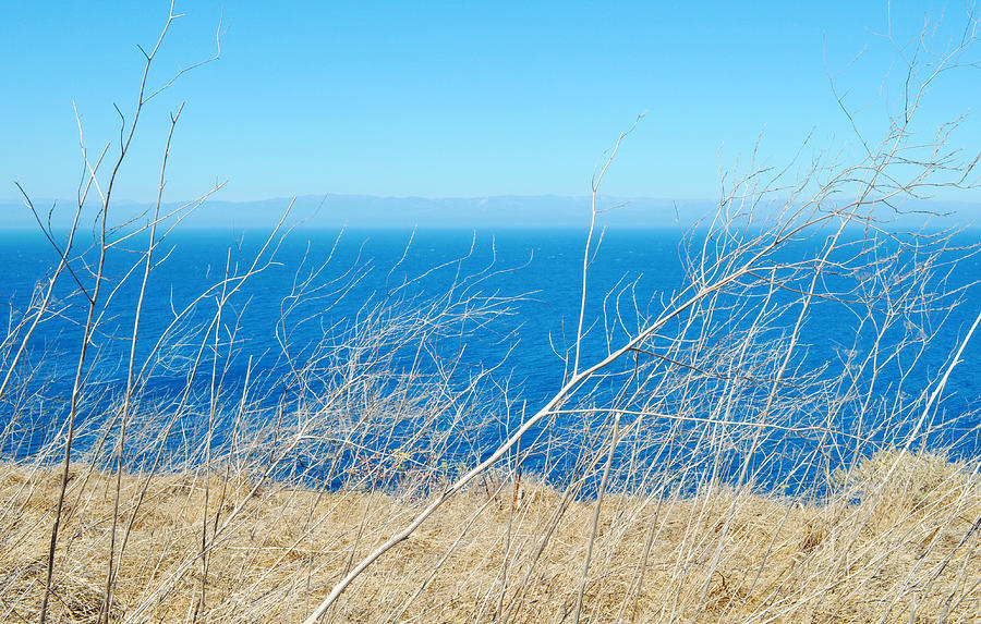 Santa Cruz Island Sea of Grass Photograph by Kyle Hanson
