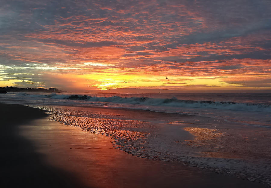 Santa Cruz Sunrise Photograph by Sleepy Weasel Pixels