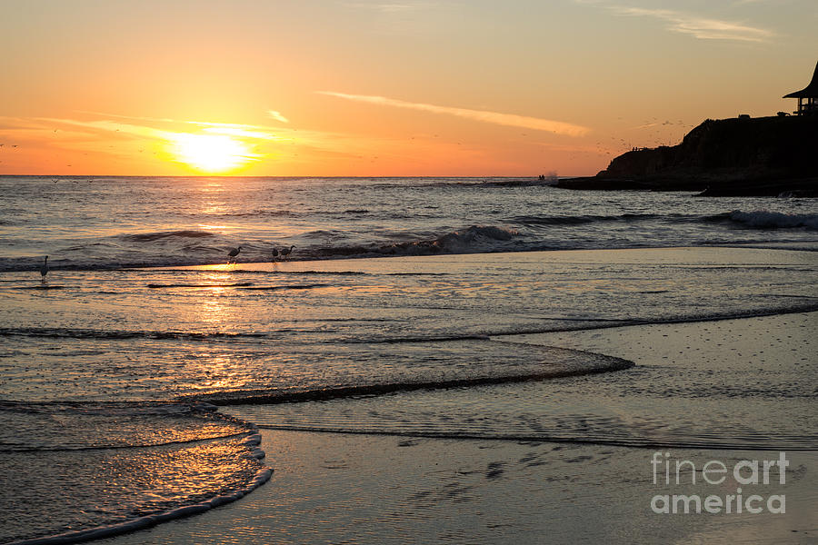 Sunset Photograph - Santa Cruz Sunset by Suzanne Luft