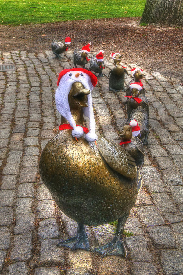 Santa Ducks Photograph by Joann Vitali