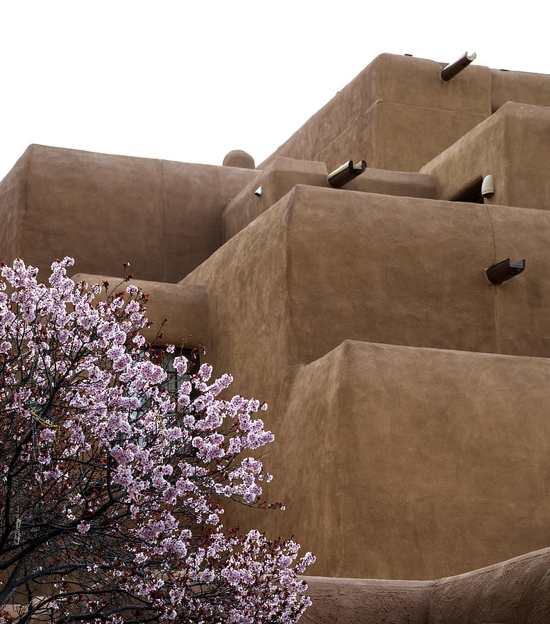 Flowers Photograph - Santa Fe Adobe by Jessica Wakefield Flowers Photograph - Santa Fe Adobe by Jessica Wakefield