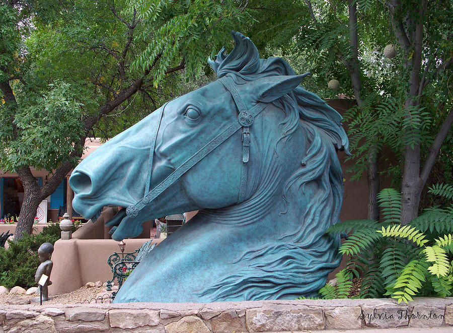 Santa Fe Big Blue Horse Photograph by Sylvia Thornton