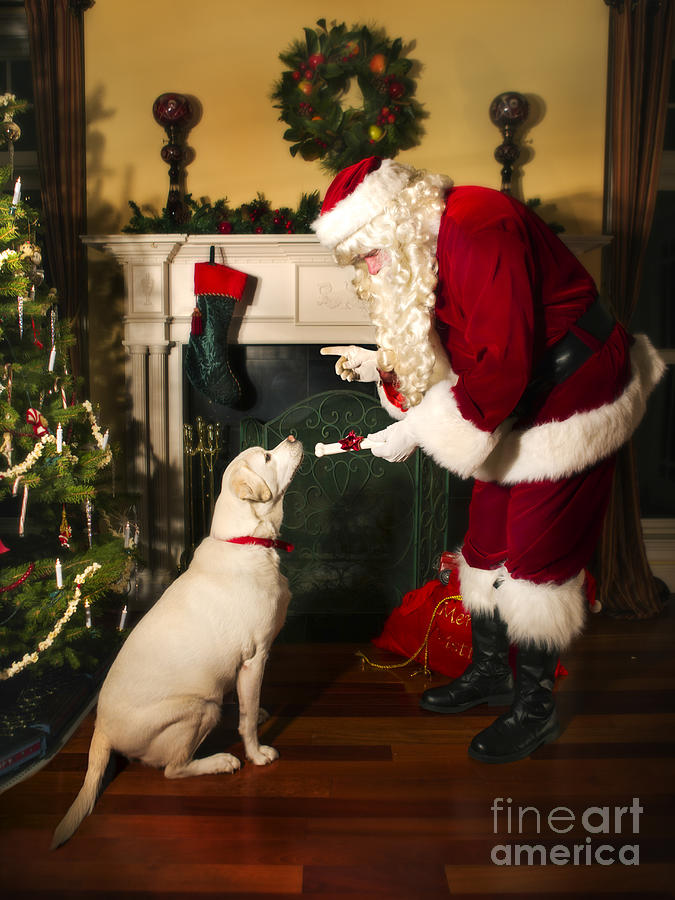 Christmas Photograph - Santa Giving the Dog a Gift by Diane Diederich