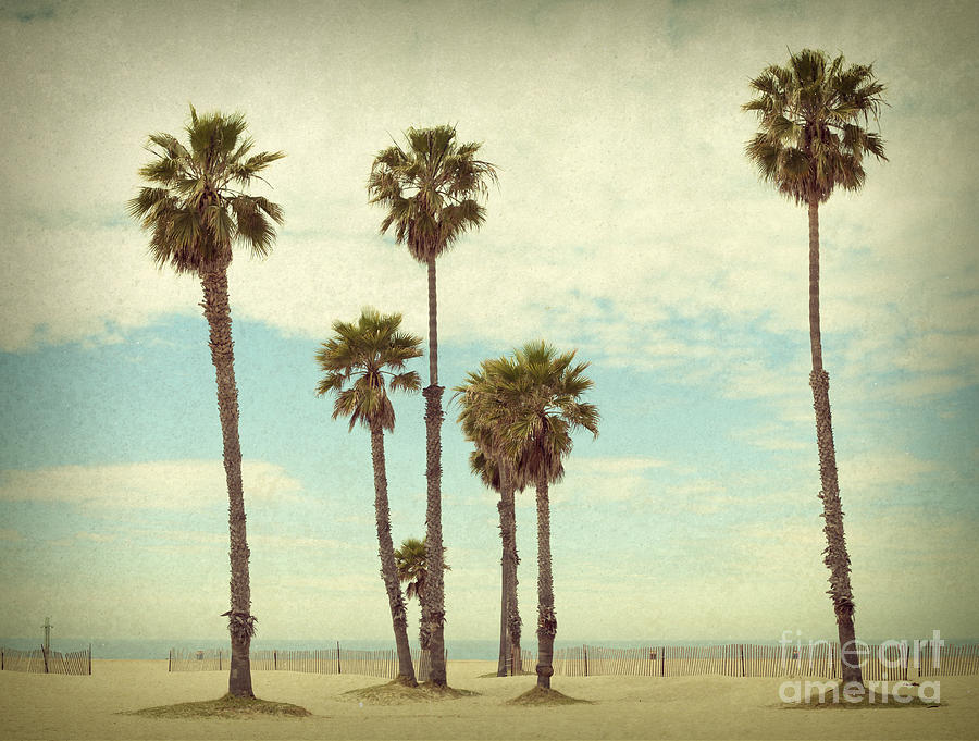 Santa Monica Beach Photograph by Stella Levi