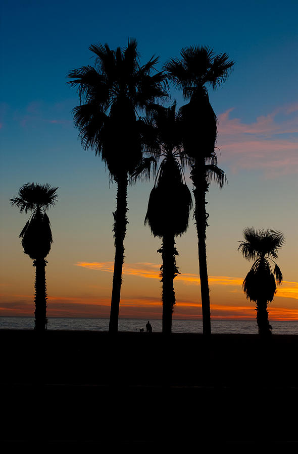 Santa Monica Sunset Photograph by David Smith