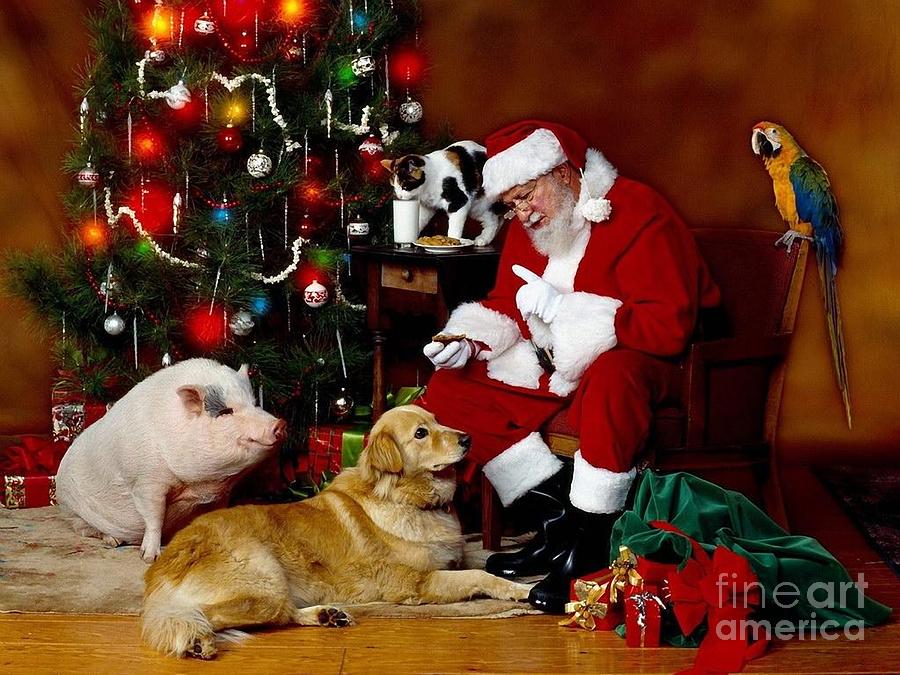 Santa Reading Lists with his Parrot-Dog and Pig Photograph by Doc Braham