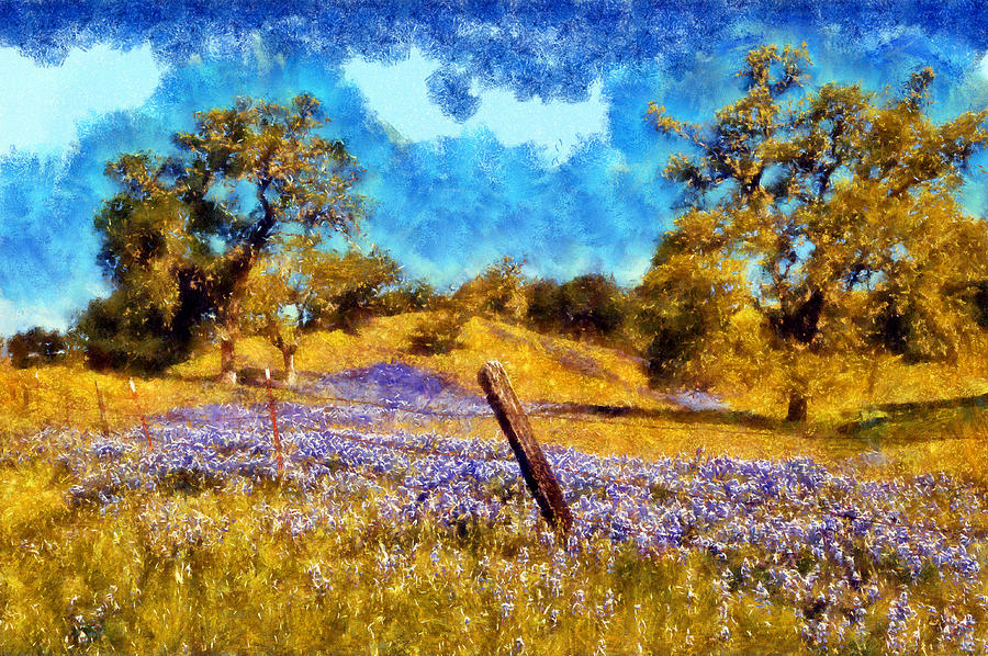Santa Rosa Field Digital Art by Kaylee Mason