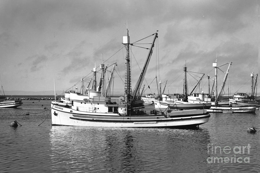 Boat Photograph - Santa Rosa in Monterey Harbor circa 1948 by Monterey County Historical Society