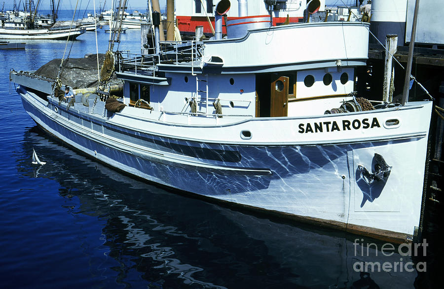 Fish Photograph - Santa Rosa Purse-seiner fishing Boat Monterey Bay circa 1950 by Monterey County Historical Society