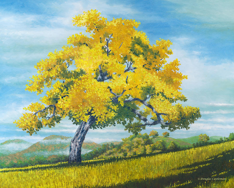Santa Ynez Tree Painting by Douglas Castleman