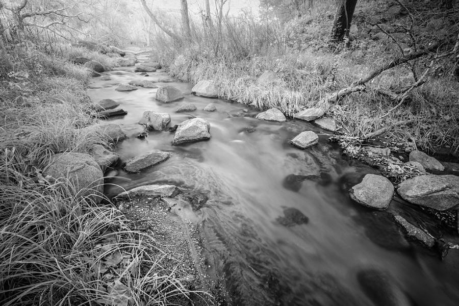 Santa Ysabel Creek Photograph by Alexander Kunz