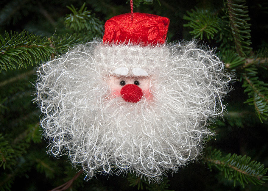 Santas Fluffy Beard Photograph by Georgette Grossman