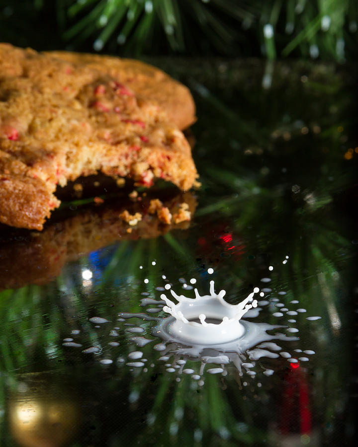 Santas Milk and Cookies Photograph by Brian Caldwell